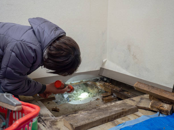 Best HVAC Mold Inspection and Cleaning  in Sho Creek, AL