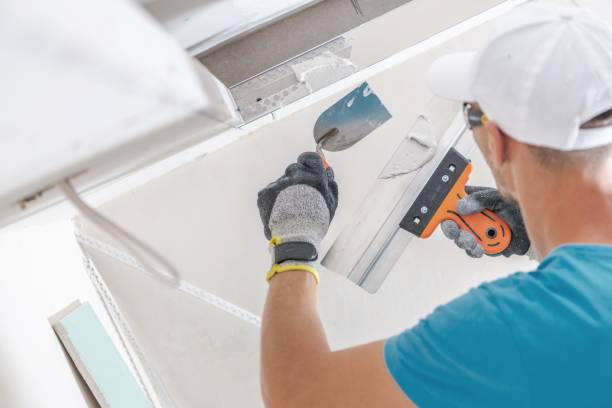 Best Industrial Mold Remediation  in Sho Creek, AL